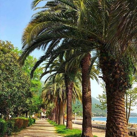 Гостевой Дом С Садом Otel Gagra Dış mekan fotoğraf
