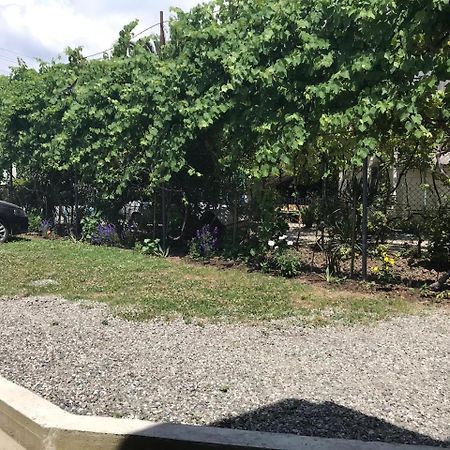 Гостевой Дом С Садом Otel Gagra Dış mekan fotoğraf