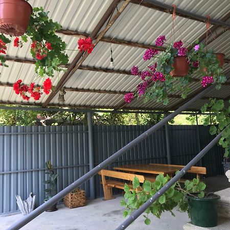 Гостевой Дом С Садом Otel Gagra Dış mekan fotoğraf