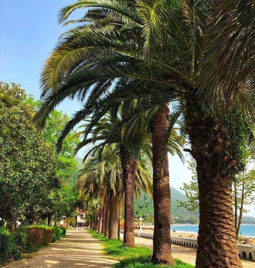 Гостевой Дом С Садом Otel Gagra Dış mekan fotoğraf