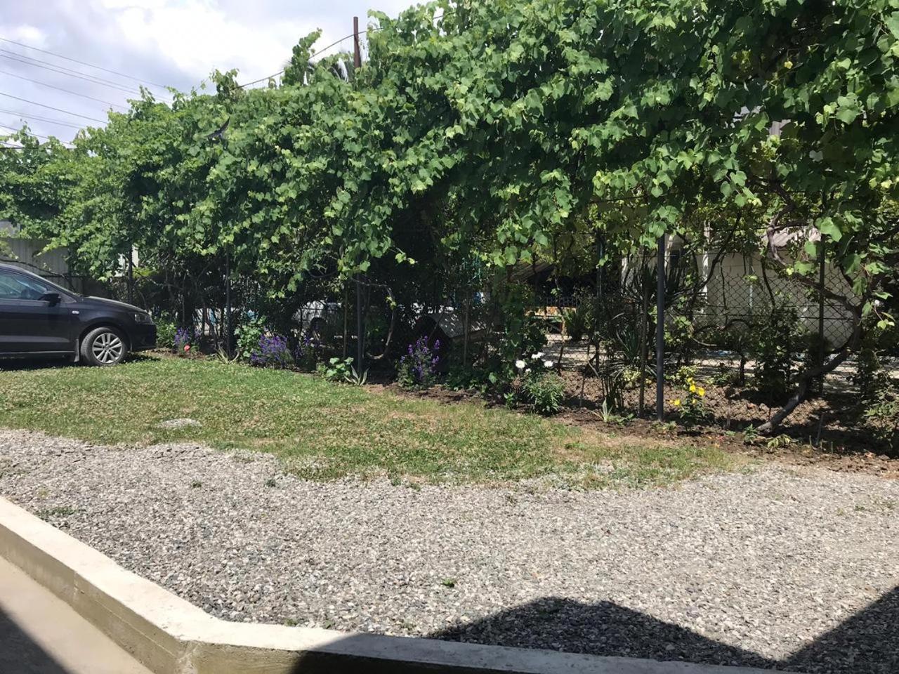 Гостевой Дом С Садом Otel Gagra Dış mekan fotoğraf