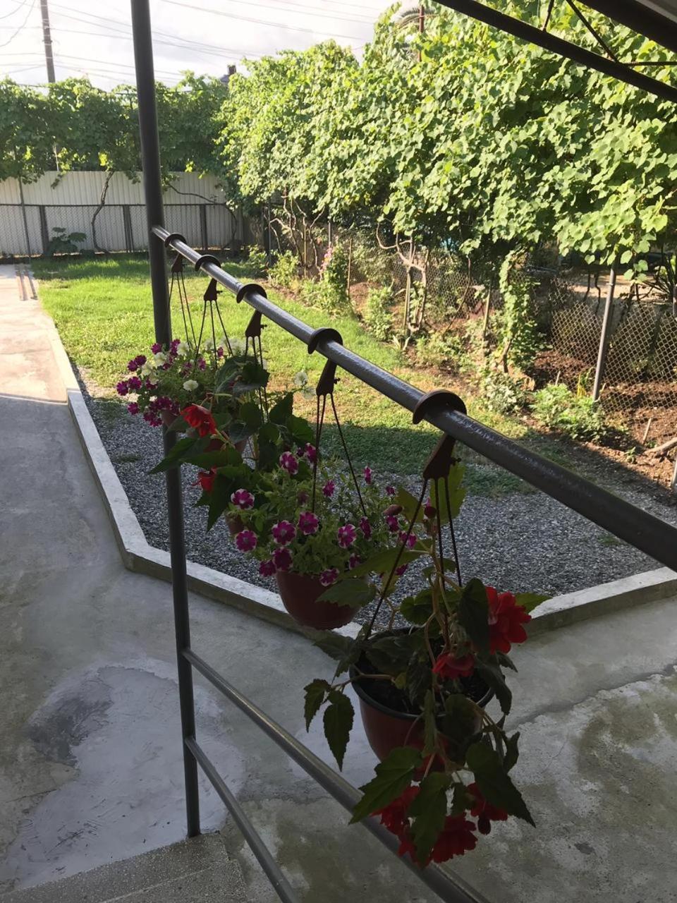 Гостевой Дом С Садом Otel Gagra Dış mekan fotoğraf