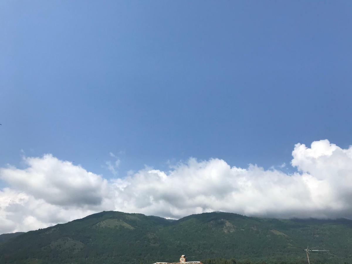 Гостевой Дом С Садом Otel Gagra Dış mekan fotoğraf