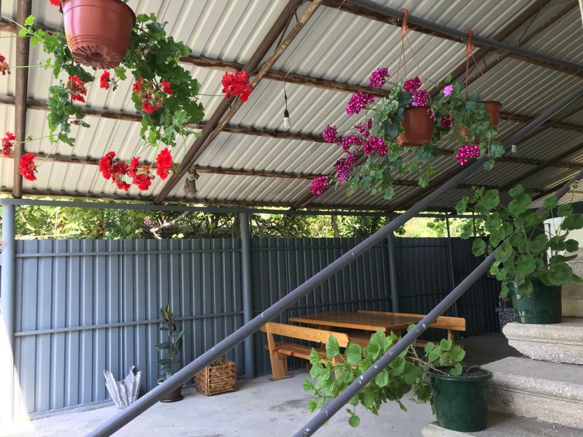 Гостевой Дом С Садом Otel Gagra Dış mekan fotoğraf